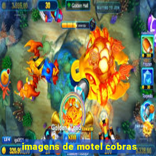 imagens de motel cobras